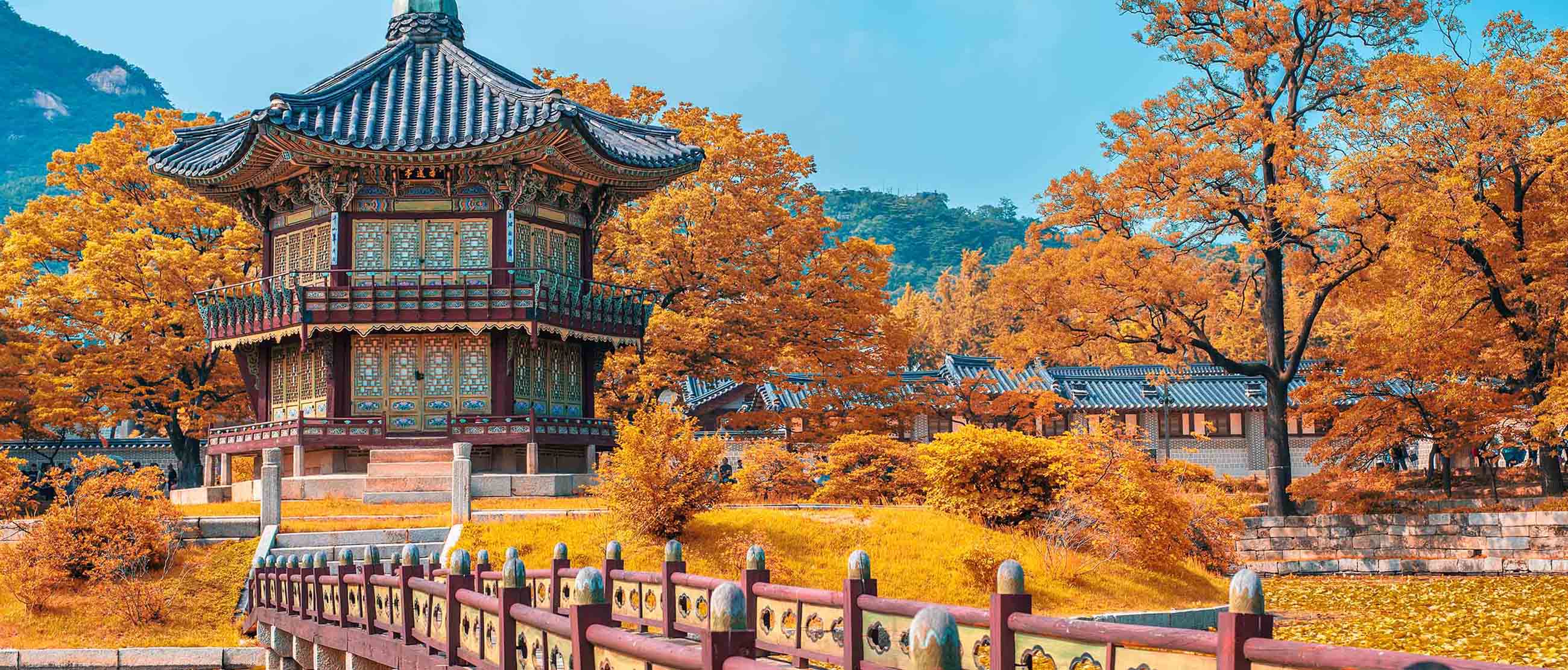 HÀ NỘI – SEOUL – NAMI – LOTTE WORLD – TRƯỢT TUYẾT ELYSIAN – HÀ NỘI (MÙNG 1, MÙNG 3 TẾT 2025)