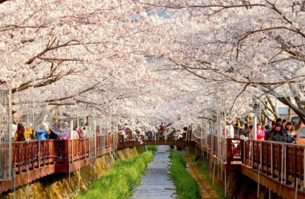HÀ NỘI – SEOUL – NAMI – KOREAN FOLK VILLAGE THƯ VIỆN STARFIELD (SUN AIRWAYS THÁNG 9/2026-KÍCH CẦU)